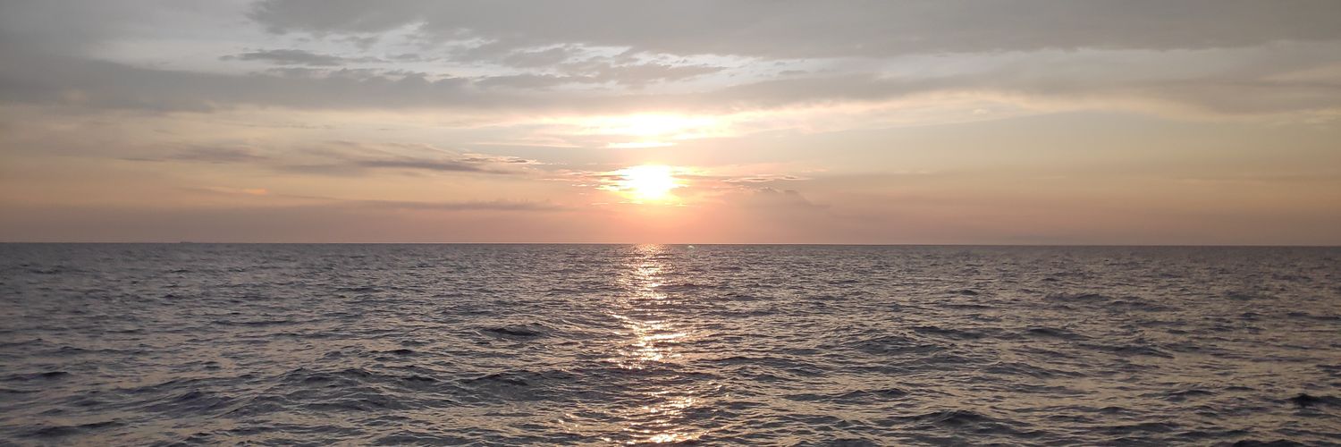 Judit_Coll's profile banner image