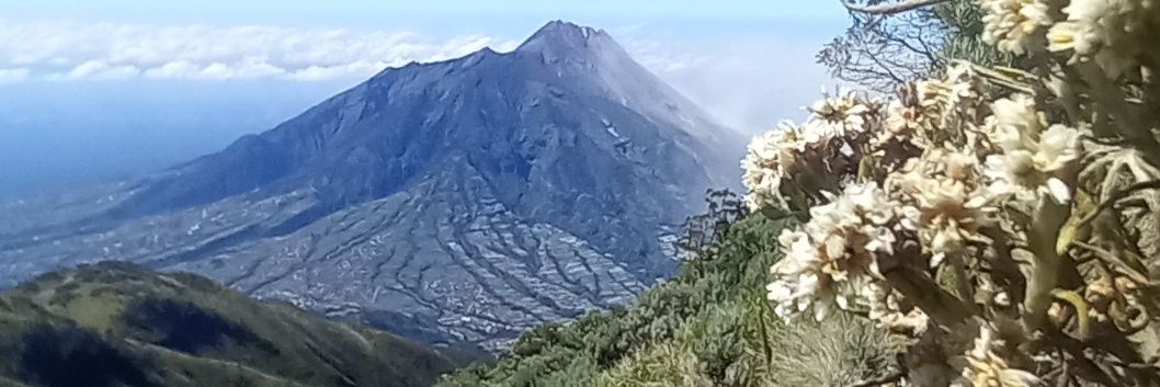 DieRindy's profile banner image