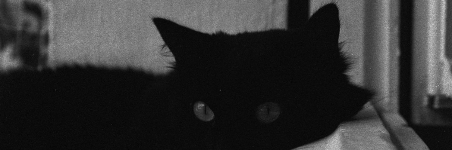 Gabalahey's profile banner image