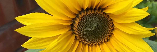 Bagaweeklybargain banner