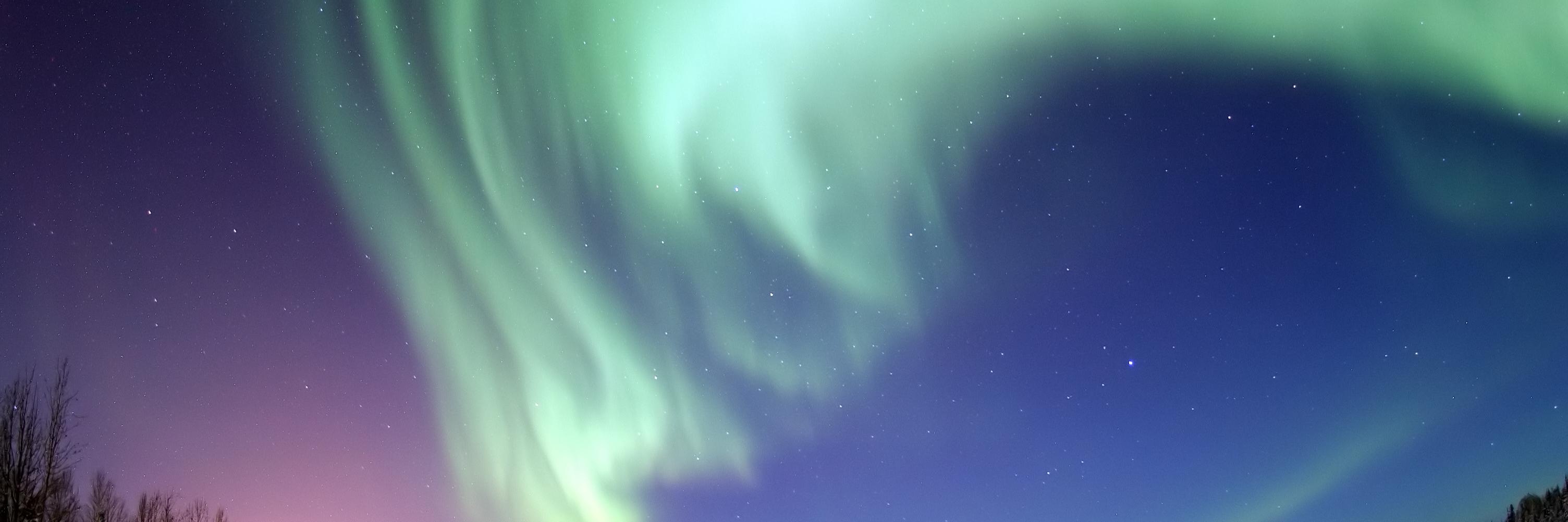 EdArtemis's profile banner image