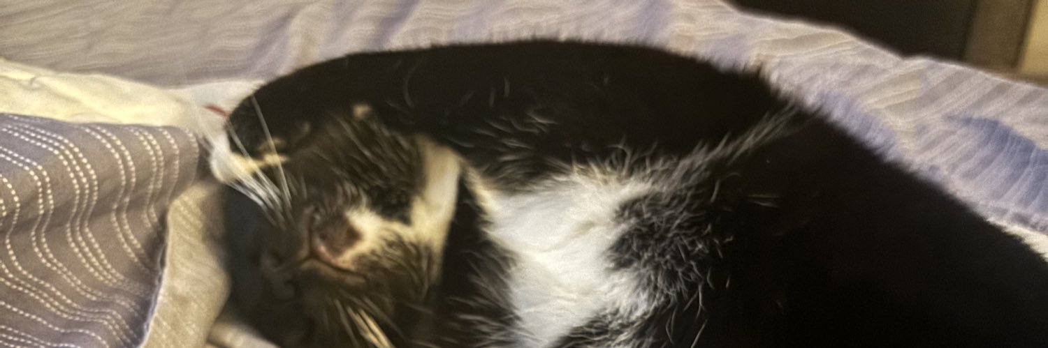 MrsFalbulous's profile banner image