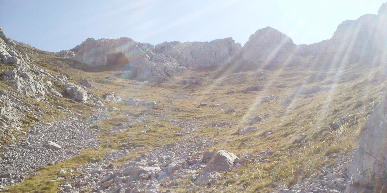 lpafmanl's profile banner image