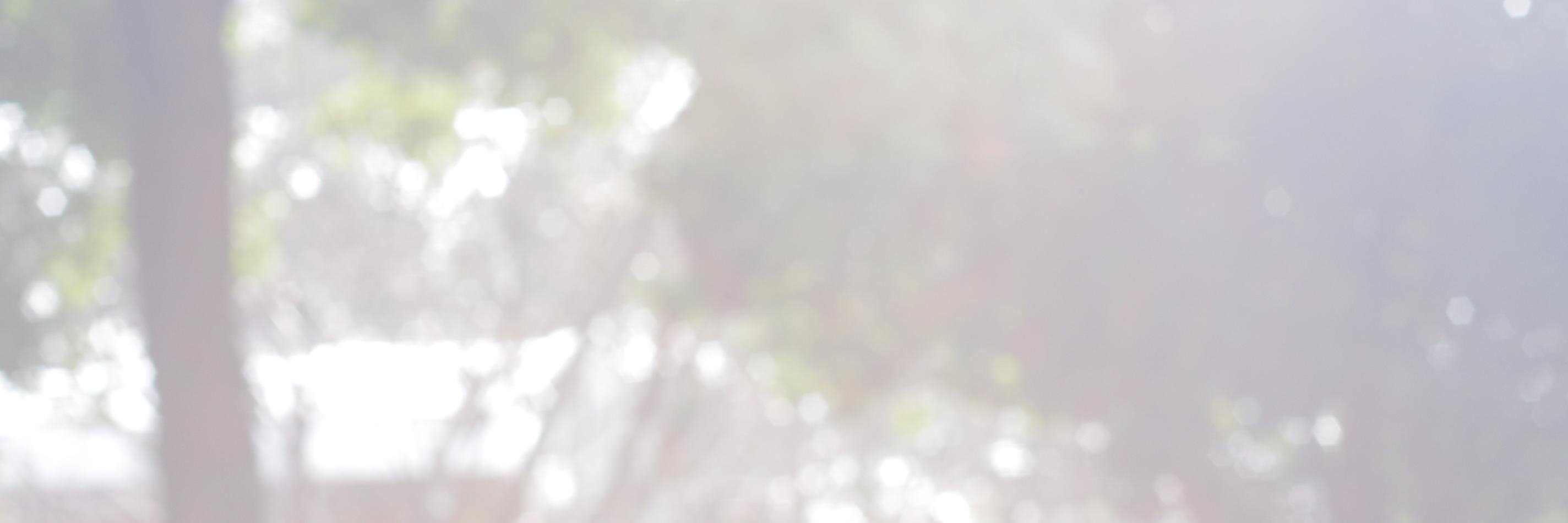 Hearsays. banner