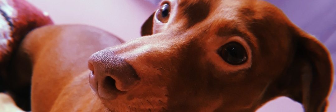 BrunaBeatriz03's profile banner image
