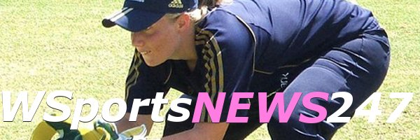 WSNet_ENG Profile Banner