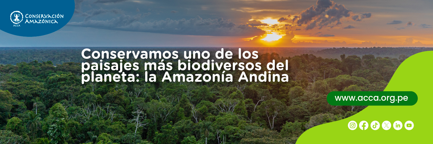 Conservación Amazónica - ACCA banner