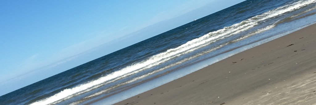 b3rn4rd0__'s profile banner image