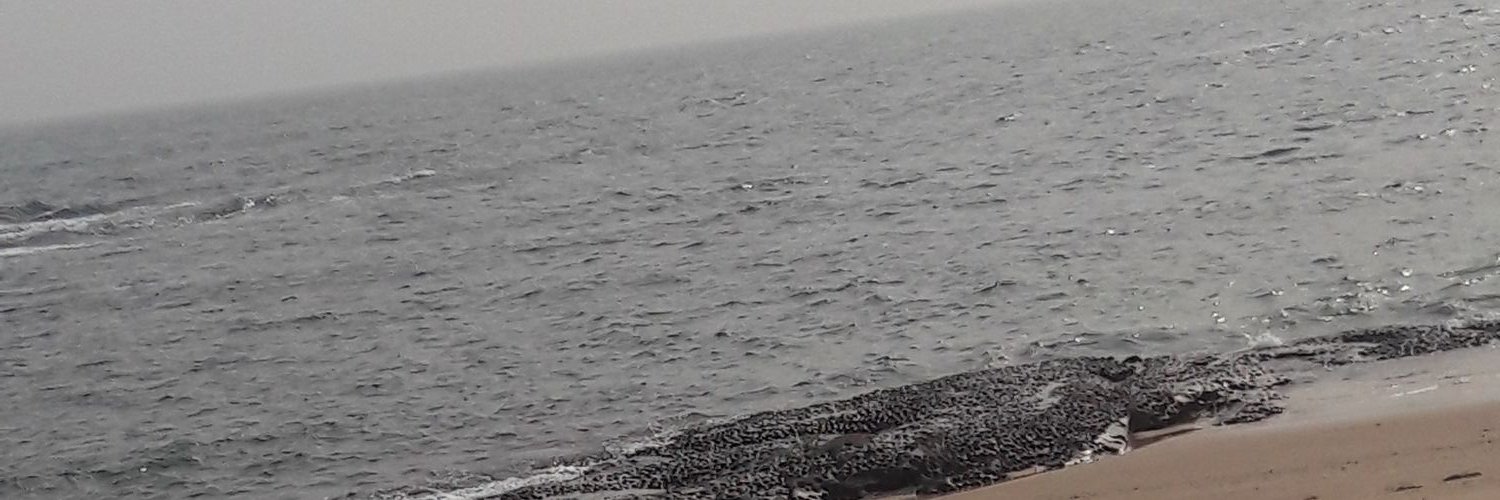 mslydlove's profile banner image