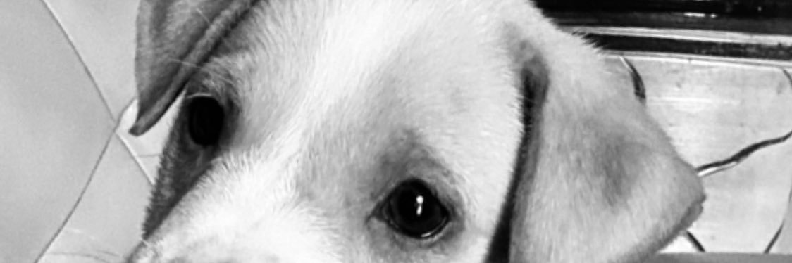 imRCfdrln's profile banner image