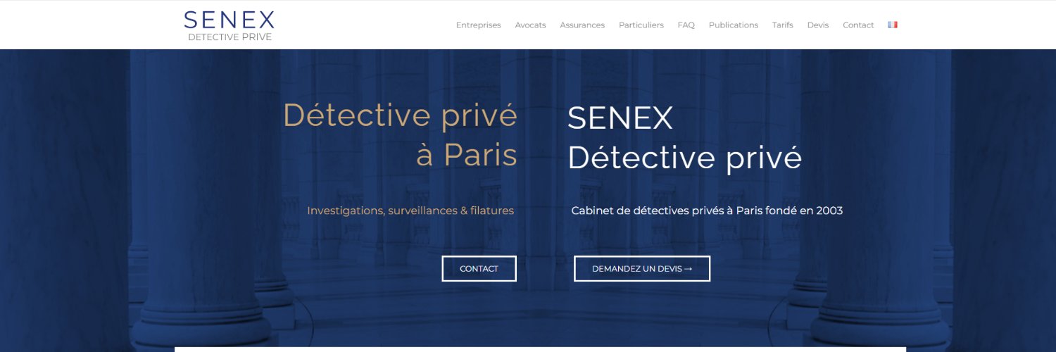 SenexDetective's profile banner image