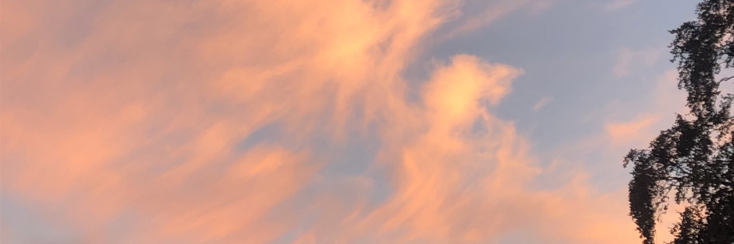 ela_3445's profile banner image