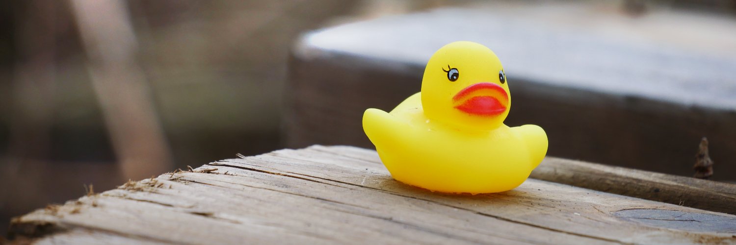 Jays Inc. (BlueJay T Gaming) 🏳️‍⚧️🌳 banner