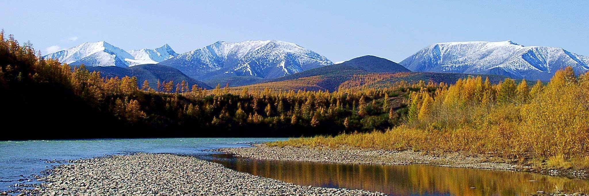 Людмила Сорокина banner