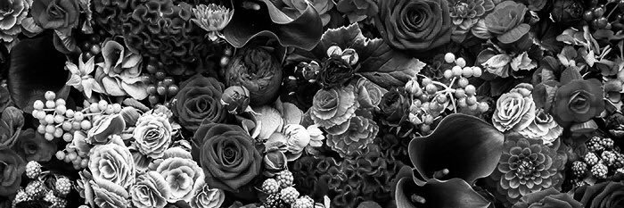 Imcalledsabri's profile banner image
