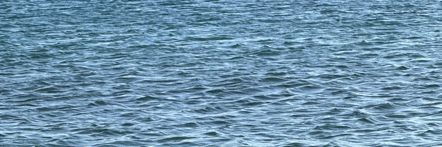 Jérémy Pied banner