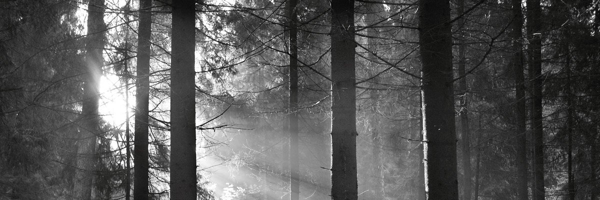 _UNESCO_K's profile banner image