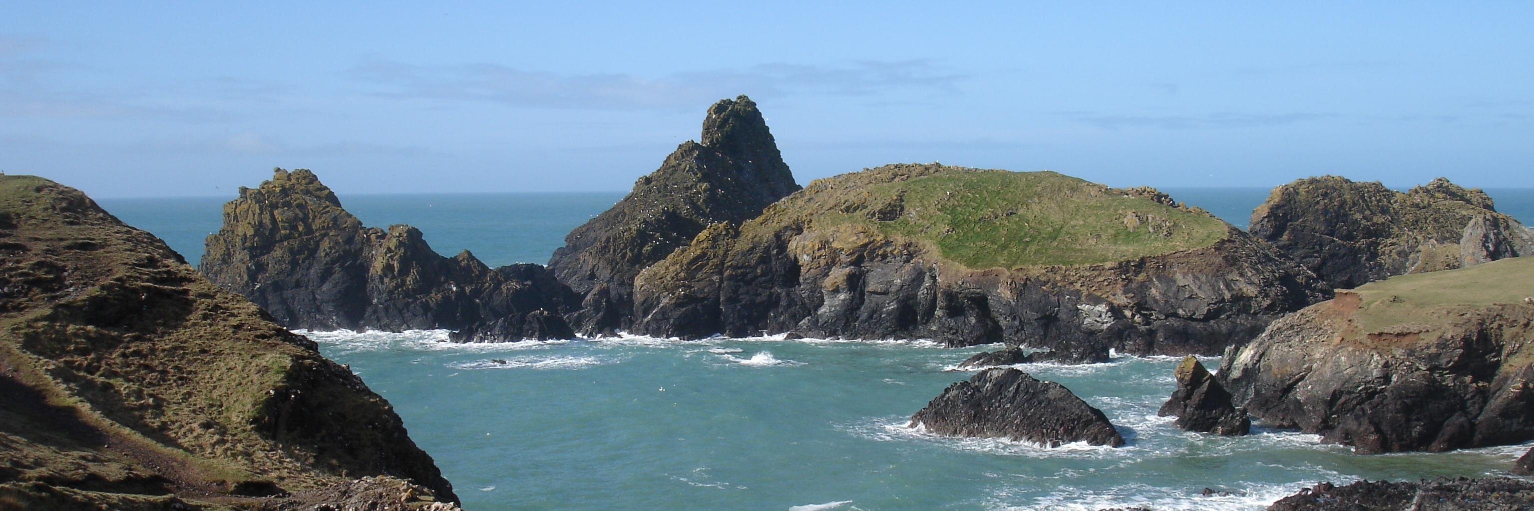 dr. rehemat 👩🏽‍💻🐚👩🏽‍🔬🌊 banner