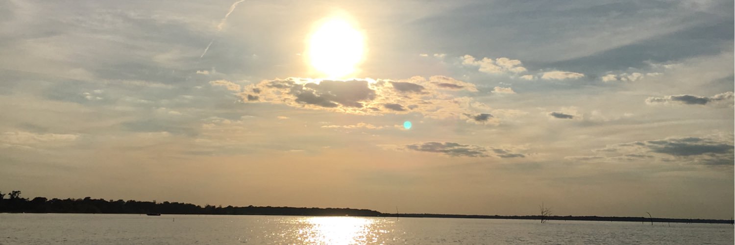 Belinda Bradshaw banner