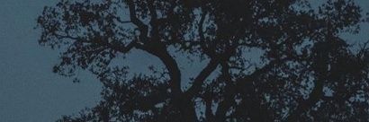 dani_7991's profile banner image