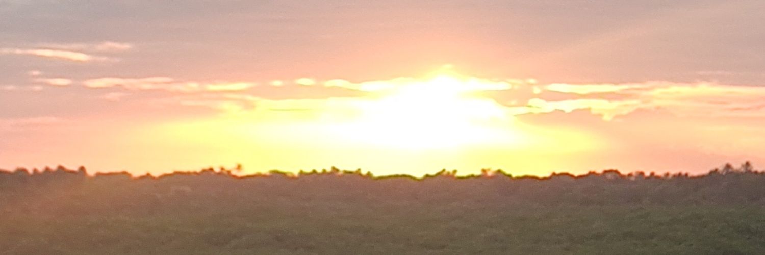 isnotspecialk's profile banner image