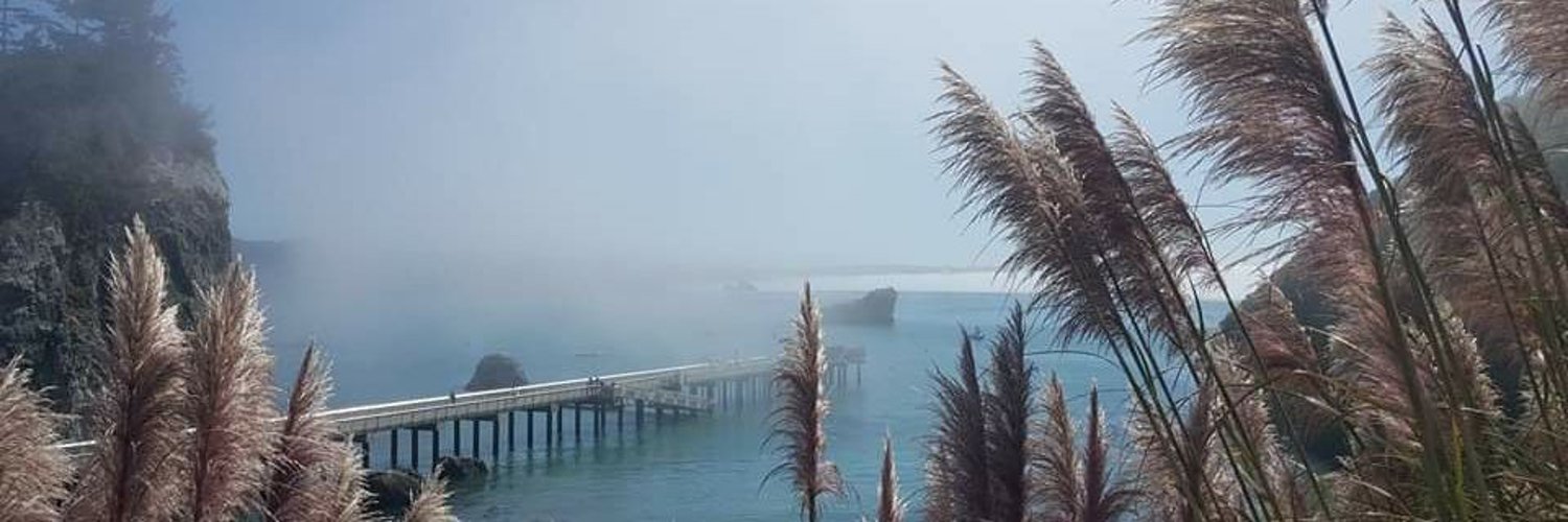 🇺🇸🇺🇸🇺🇸 Joy Middaugh 🇺🇸🇺🇸🇺🇸 banner