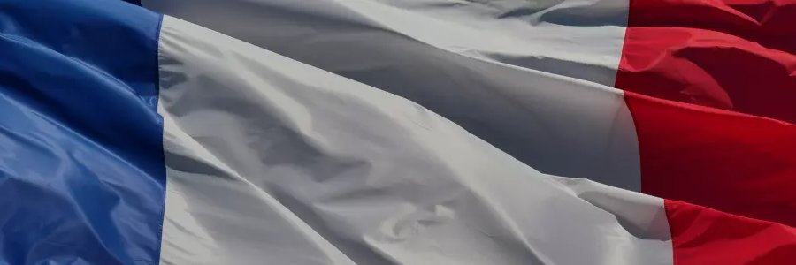 Nemalius's profile banner image