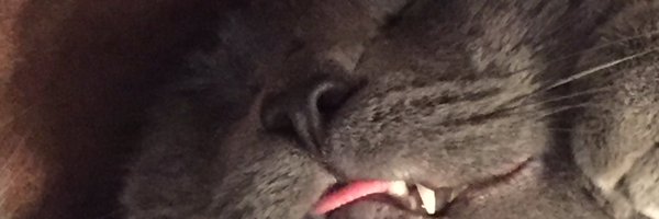 TheRealMackyG1 Profile Banner
