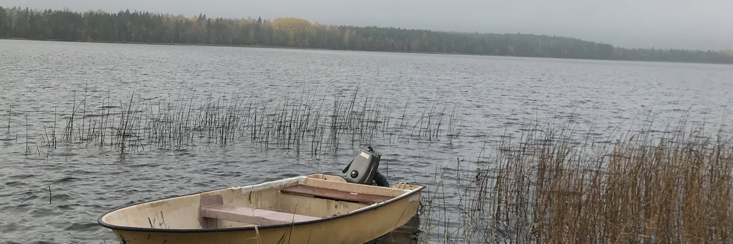 BerenikeBick's profile banner image