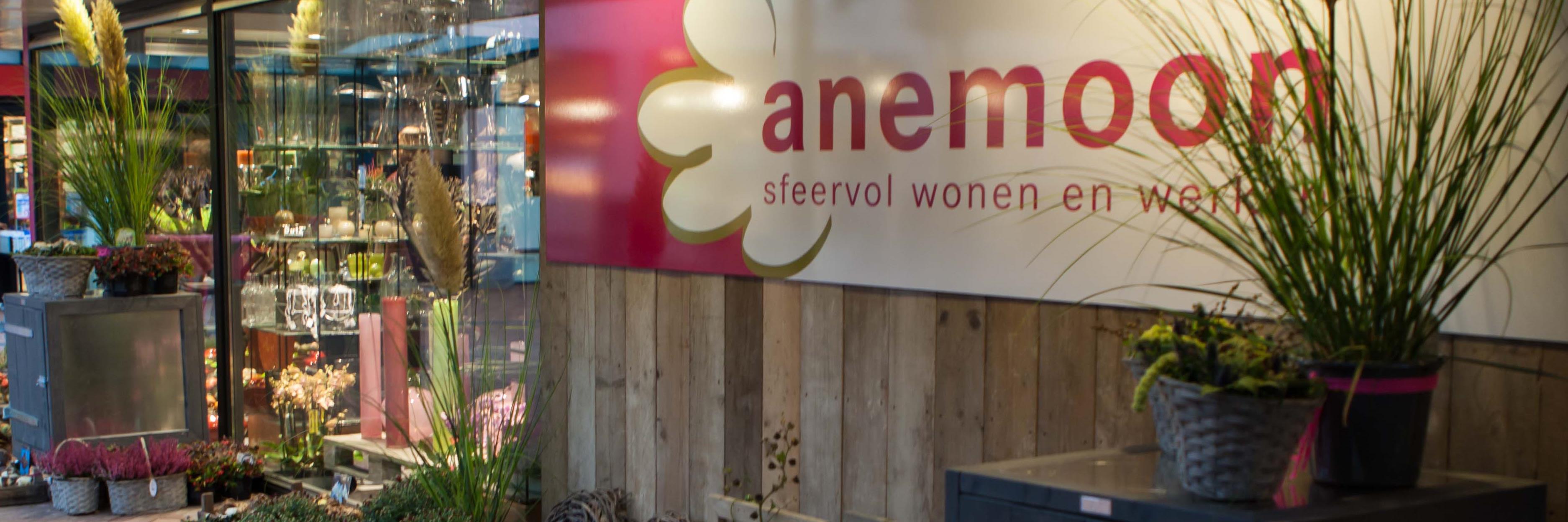 AnemoonDronten banner