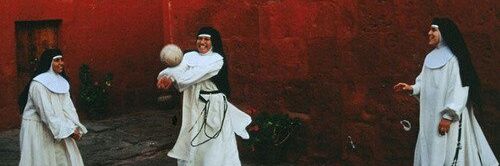 SckmunCocci's profile banner image