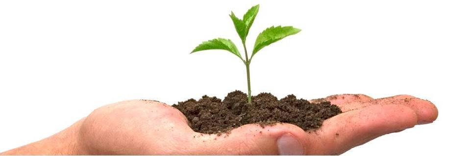 coachgrow's profile banner image