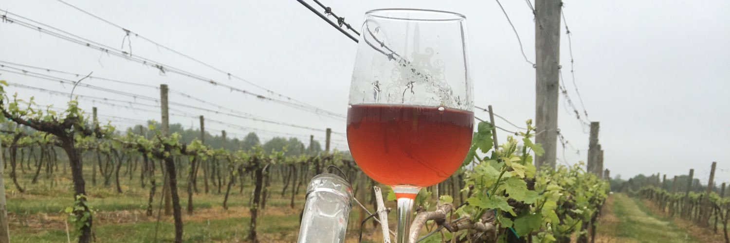 LazyDaysWinery's profile banner image