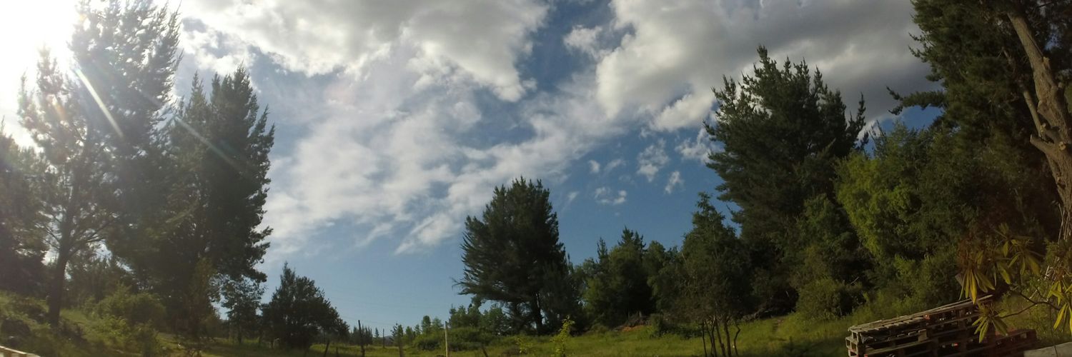birdsthatblow's profile banner image