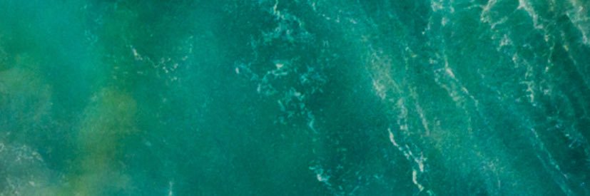 Grzegorz Szoka banner