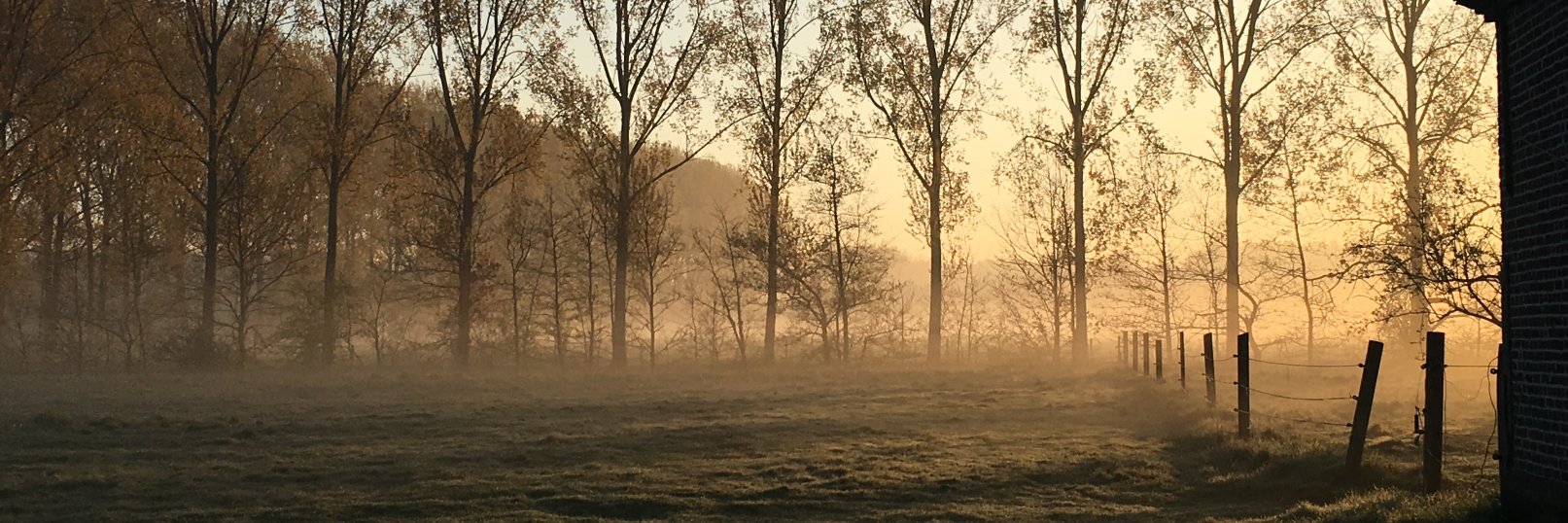 Davy Vlassenroot banner