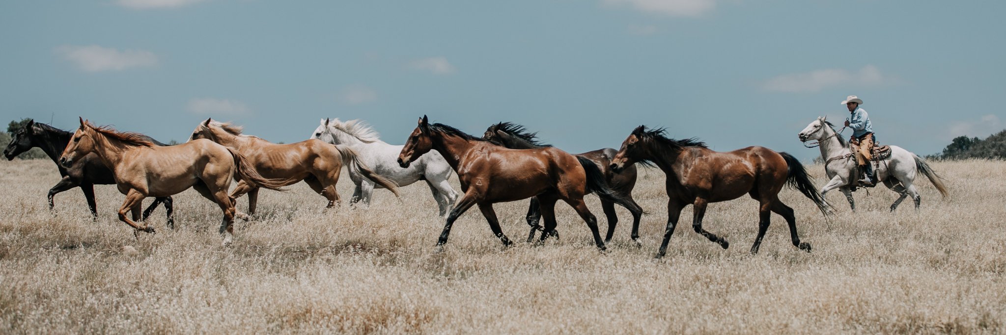 ranchmarketing's profile banner image