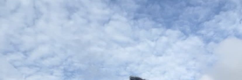 Mr Oceans 🌊 banner