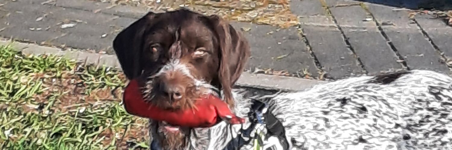 Henny. heeft plezier en geniet van het leven.🥂 banner