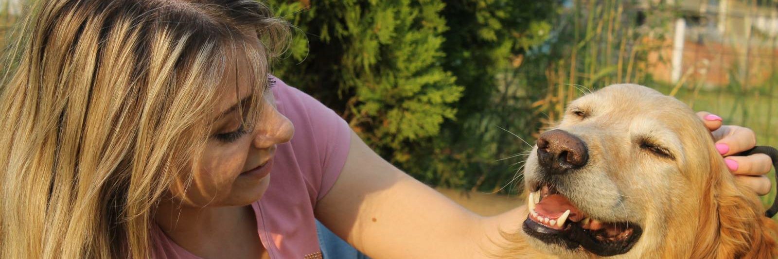 ElisaNovijedini's profile banner image