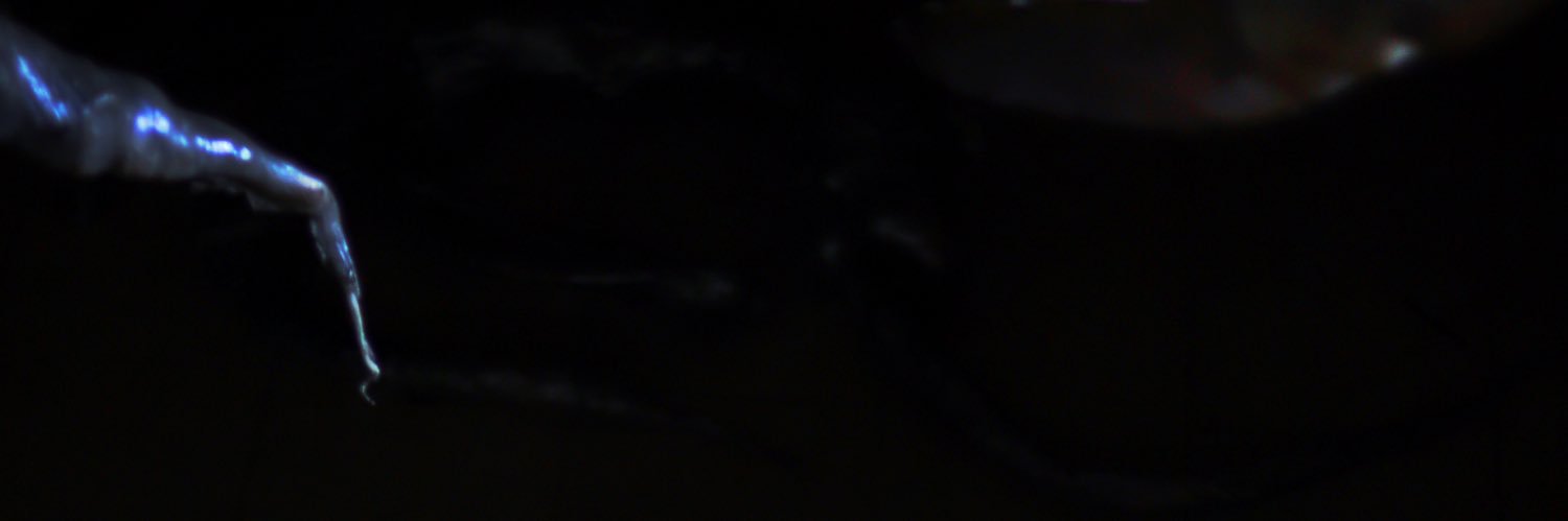BallayDani's profile banner image