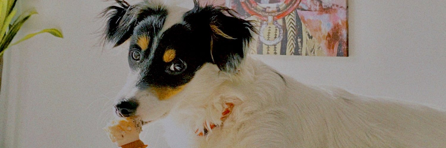 inês banner