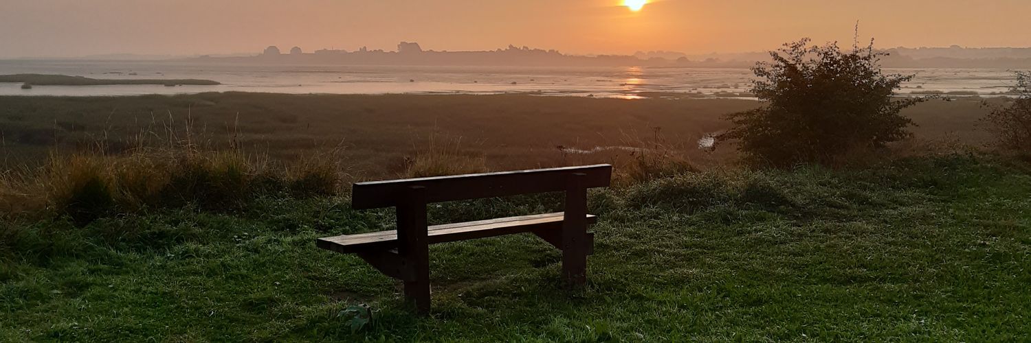 Janice Hyatt 🍎🚴🏼‍♀️ Ⓥ banner