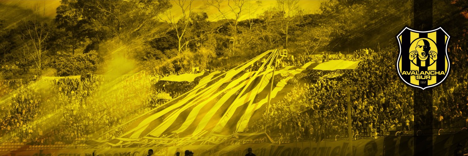 Avalancha Sur 1997 banner