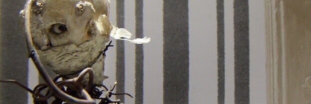 CoopDaler's profile banner image