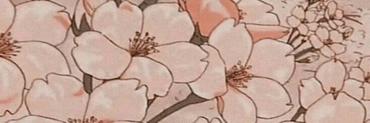 vals_twedacc's profile banner image