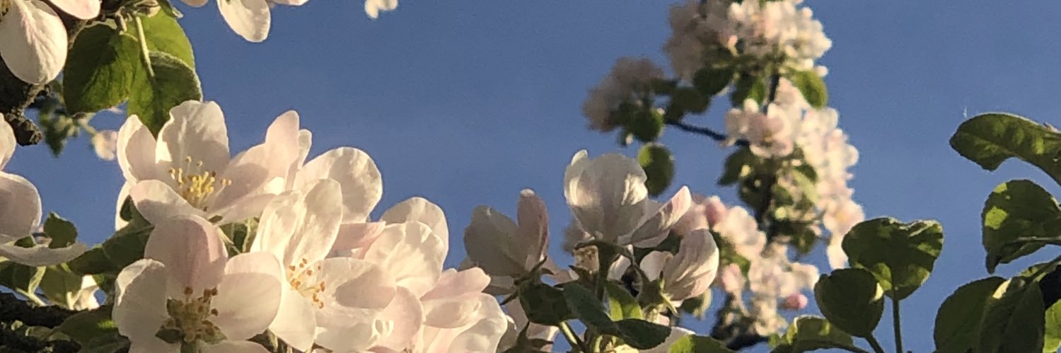 a_hele's profile banner image