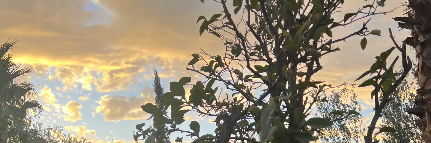 melissaroches's profile banner image