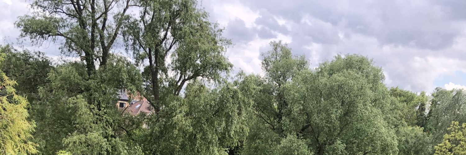 buzzhusey's profile banner image