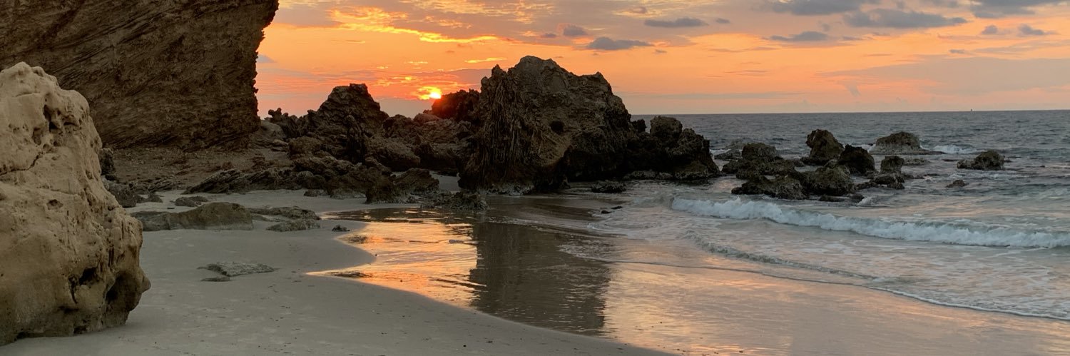 JONATHAN LEOR banner